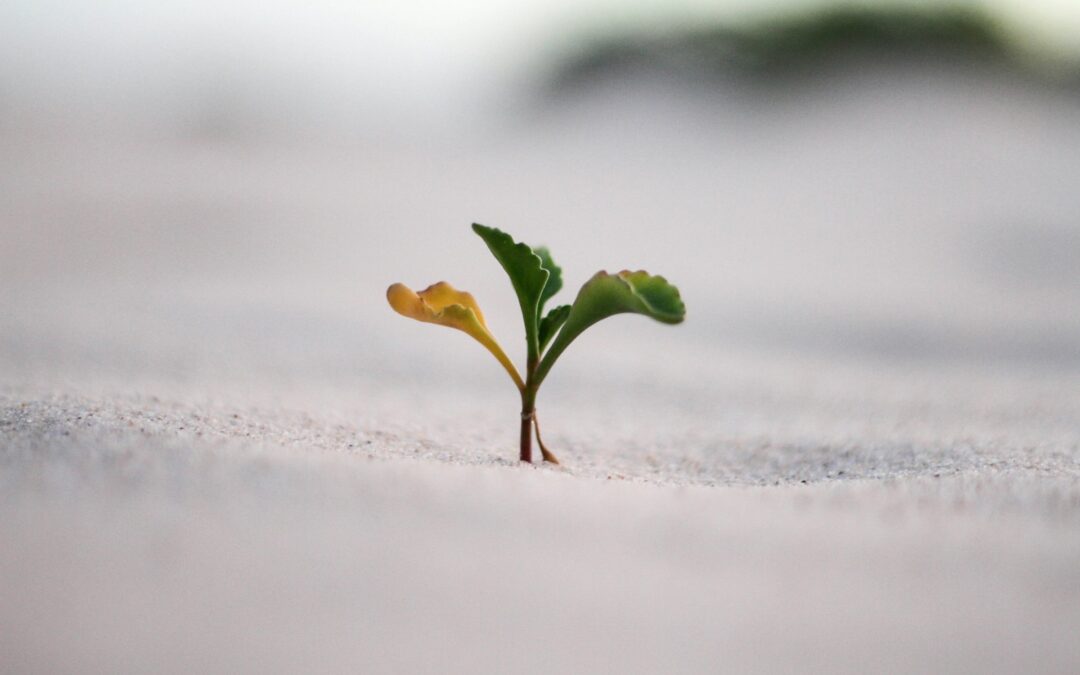Admin in 2024: Why It Shouldn’t Exist—and How to Eliminate It for Good