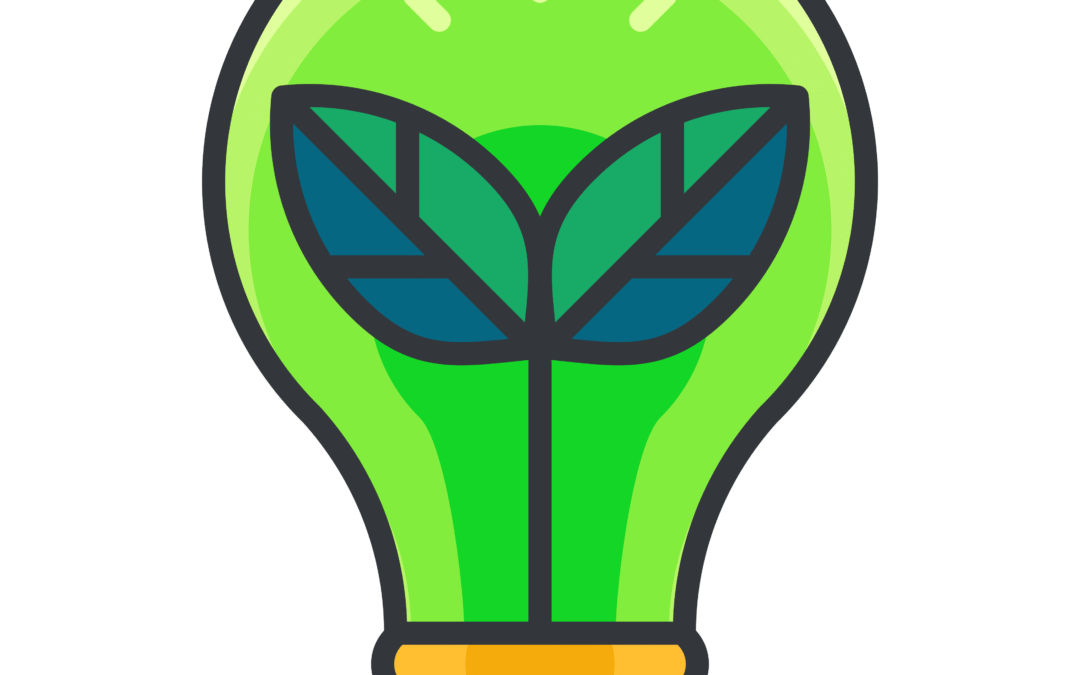 Eco-Friendly Innovation: More Than a Buzzword
